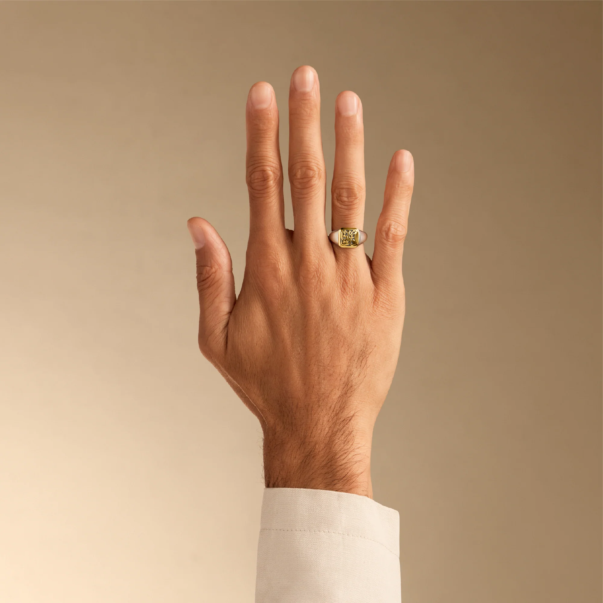We Are One Ring - Image 3
